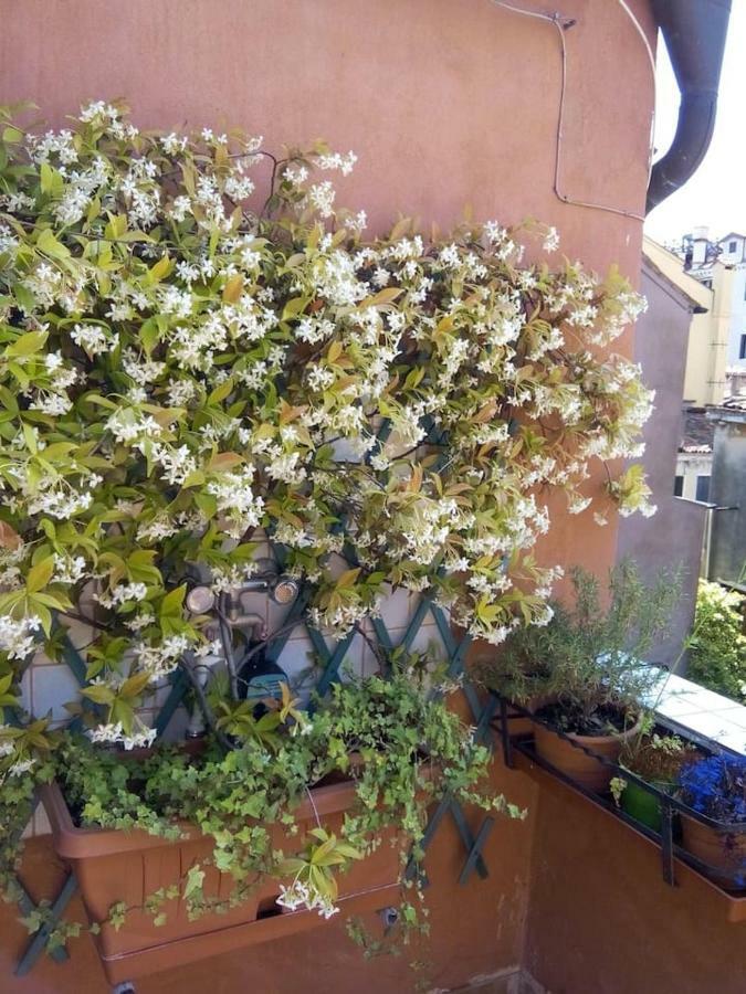 Ca' San Silvestro 2 Terrazze Nel Cuore Di Venezia 外观 照片